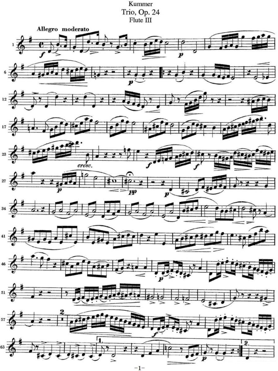 长笛乐谱曲谱 库默长笛三重奏Op.24（Flute 3）