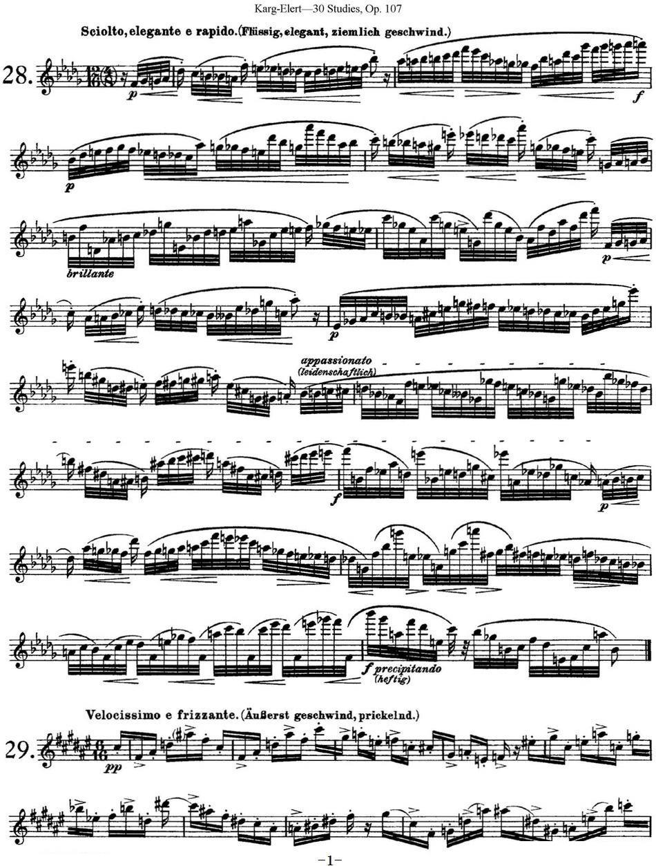长笛乐谱曲谱 卡-伊勒特30首长笛练习曲Op.107（NO.28-NO.30）