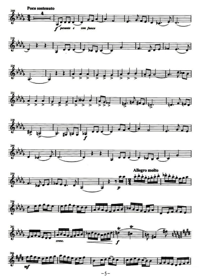 《新疆狂想曲》提琴谱（第5页）