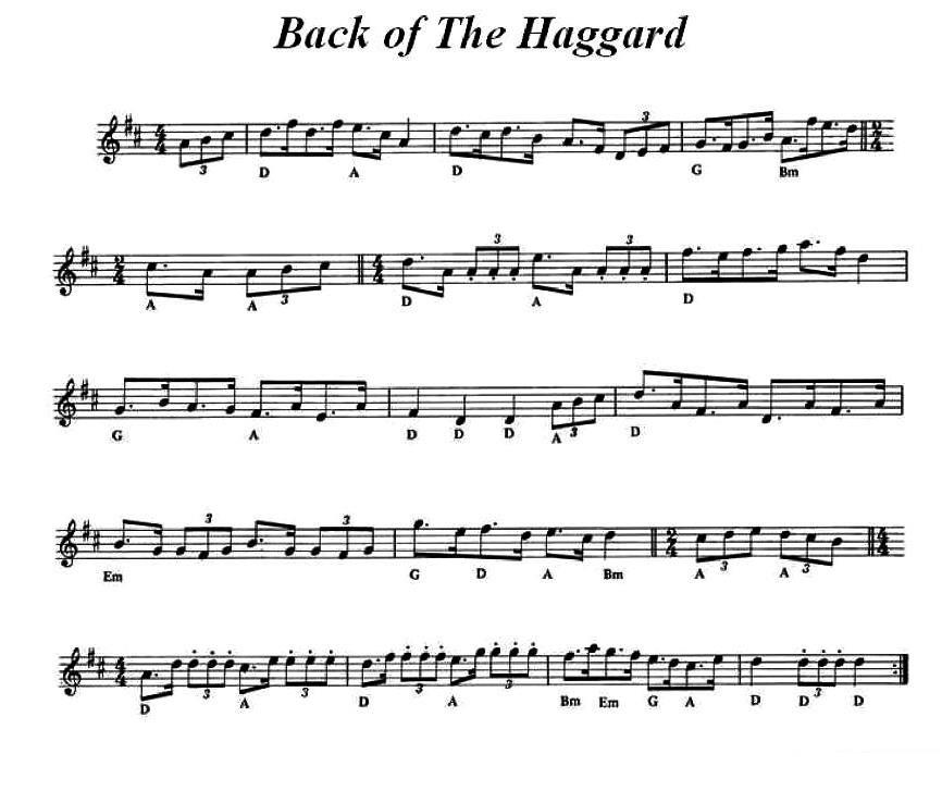 提琴乐谱曲谱 爱尔兰民歌：Back of The Haggard