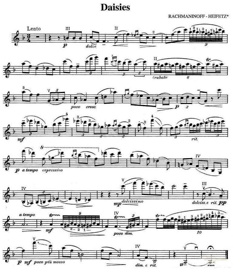 提琴乐谱曲谱 Daisies（雏菊）